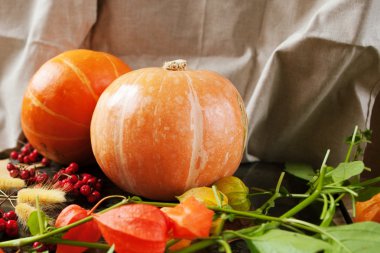 Kabak ile sarı sonbahar yaprakları, çiçekleri ve meyveleri.
