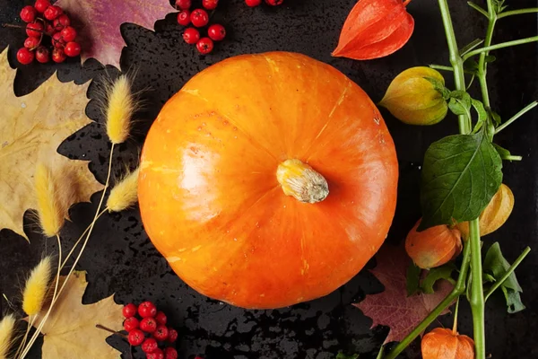 Siyah arka plan üzerine balkabağı. Üstten Görünüm