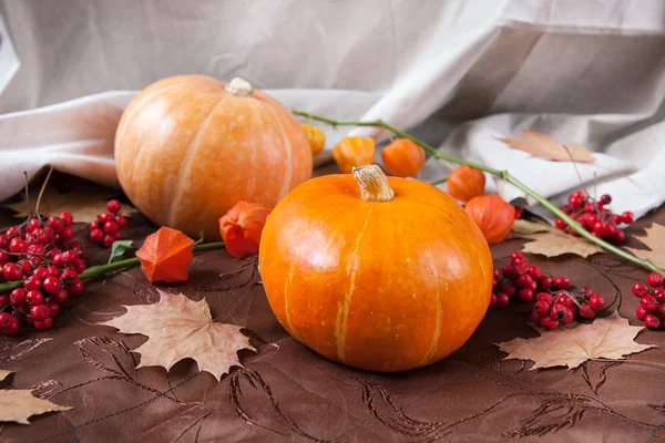 Sonbahar natürmortu. Çiçekler, akçaağaç yaprakları ve çilek ile Kabaklar.
