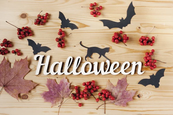 Halloween-Feiertag Hintergrund, Text, Katze, Beeren und Fledermäuse. Blick von oben. — Stockfoto