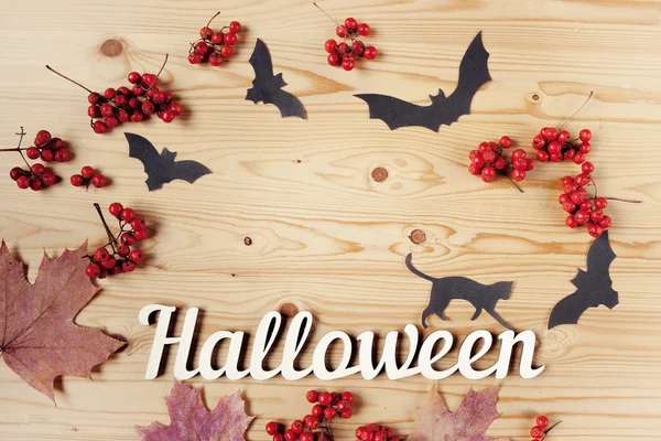 Halloween-Feiertag Hintergrund, Text, Katze, Beeren und Fledermäuse. Blick von oben mit Kopierraum. — Stockfoto