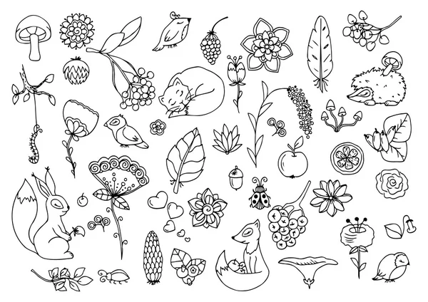 Illustrazione vettoriale e, impostare la foresta, animali e fiori. Disegno Doodle. Esercizi meditativi. Libro da colorare anti stress per adulti. Bianco nero . — Vettoriale Stock