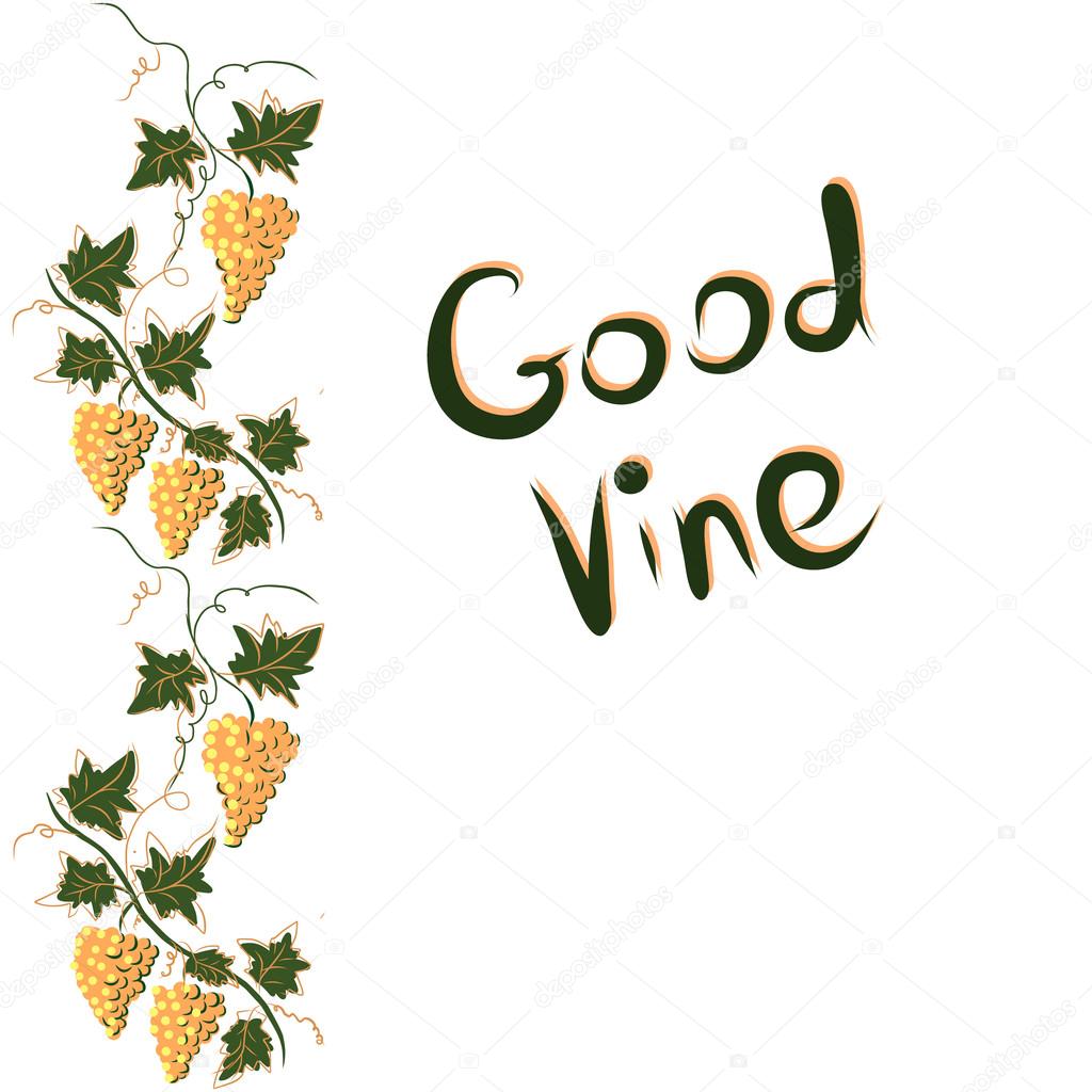 Stylized graphic image of a vine with grapes.