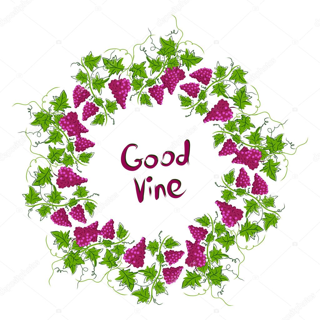 Stylized graphic image of a vine with grapes.