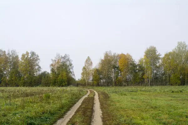 Fields and forests in the fall in Central Russia - country road running along the field — Stock Photo, Image