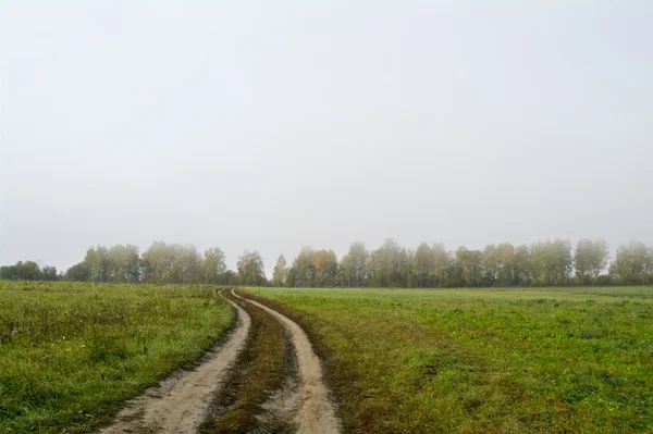 Felder und Wälder im Herbst in Zentralrussland - Landstraße entlang des Feldes — Stockfoto