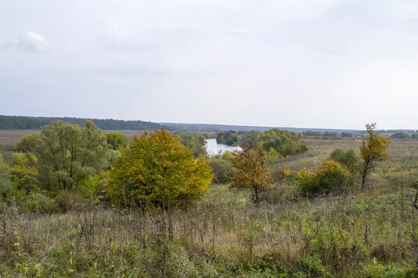 Pól i lasów jesienią w centralnej Rosji - górnym biegu rzeką oką — Zdjęcie stockowe