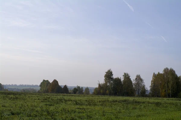 Pola i lasy na jesieni w centralnej Rosji, żółty, zielony, pomarańczowy farby — Zdjęcie stockowe