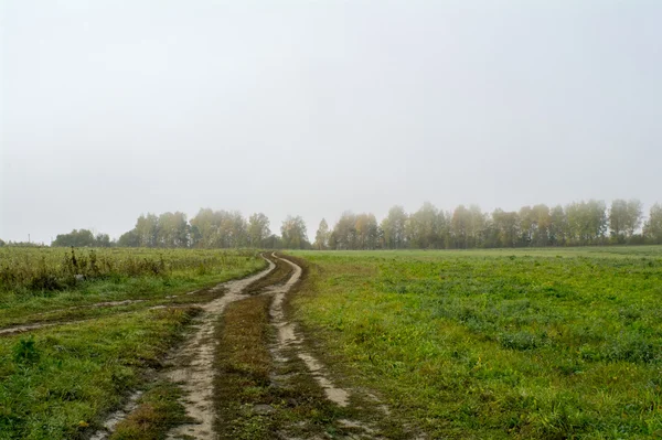 Felder und Wälder im Herbst in Zentralrussland - Landstraße entlang des Feldes — Stockfoto