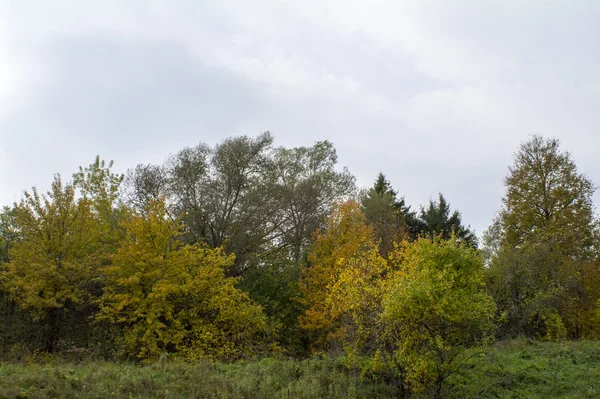 Felder und Wälder im Herbst in Zentralrussland - gelb, grün, orange Tinte — Stockfoto