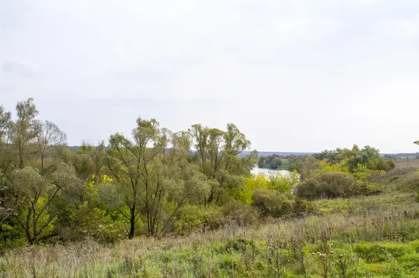 Поля і ліси восени в центральну Росію - верхній течії Оки — стокове фото