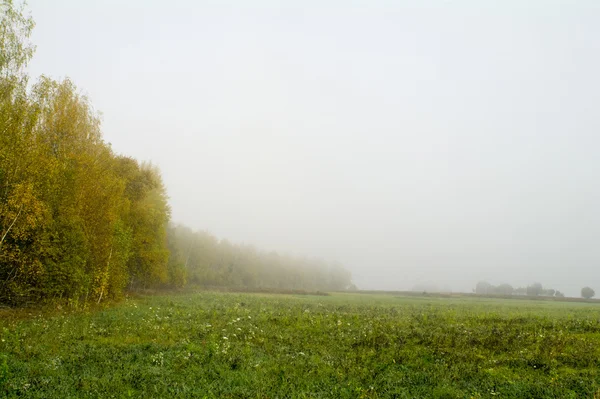 Αγρούς και στα δάση το φθινόπωρο στην Κεντρική Ρωσία - κίτρινο, πράσινο, πορτοκαλί μελάνι — Φωτογραφία Αρχείου