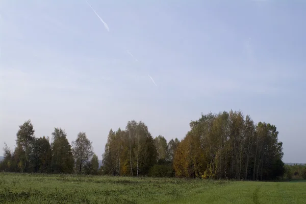 Felder und Wälder im Herbst in Zentralrussland, gelb, grün, orange Tinte — Stockfoto