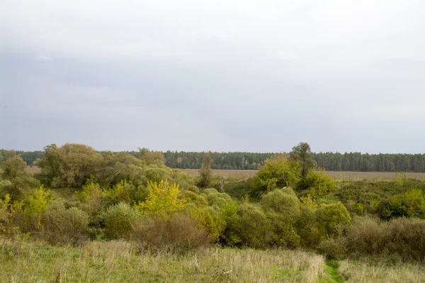 Pól i lasów jesienią w centralnej Rosji - górnym biegu rzeką oką — Zdjęcie stockowe
