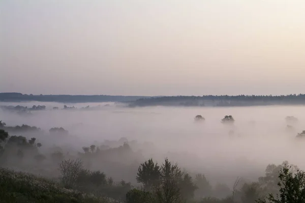 Утренний туман на реке летом . — стоковое фото