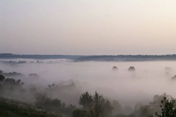 Morgennebel auf dem Fluss im Sommer. — Stockfoto