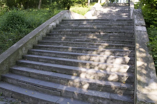 Escalier en pierre avec éblouissement du soleil au milieu de la verdure . — Photo