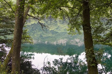 Yemyeşil ağaçlar ve bir dağ mavi göle yansıtılır.