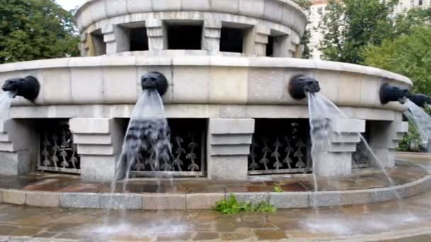 Moskau, russland - august 2017 - brunnen auf dem gebiet der staatlichen universität moskau, aus den köpfen wilder tiere strömt wasser, das geräusch fließenden wassers — Stockvideo