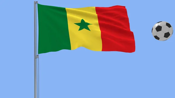 Realistické vlající vlajka Senegalu a fotbalový míč letící kolem na modrém pozadí, 3d vykreslování. — Stock fotografie