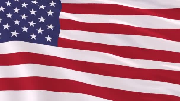 Realistic Flag Usa Wind Rendering — Stock Video