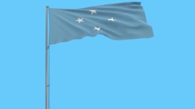 Mikronezya Federal Devletleri, bayrağı mavi arka plan, 3d render rüzgarla içinde çırpınan bir bayrak direği üzerinde izole