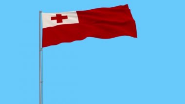 Tonga bayrağı mavi arka plan, 3d render rüzgarla içinde çırpınan bir bayrak direği üzerinde izole