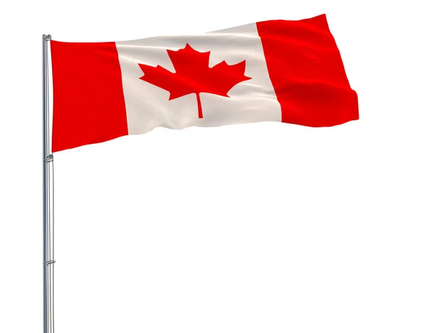 Απομονώστε τη σημαία του Καναδά σχετικά με ένα κοντάρι σημαίας που κυματίζει στον αέρα σε λευκό φόντο, 3d rendering. — Φωτογραφία Αρχείου
