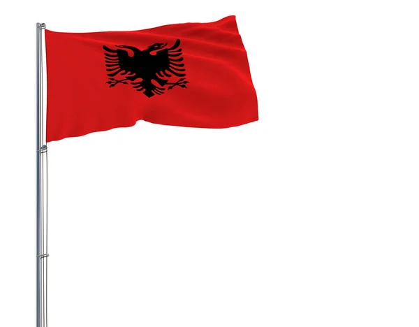 Isolasi bendera Albania pada tiang bendera berkibar di angin pada latar belakang putih, 3d rendering . — Stok Foto