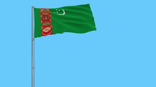 Flag Turkmenistan Flagpole Fluttering Wind Blue Background Rendering — Stock Video