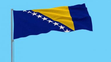 Bosna-Hersek bayrağı üzerinde beyaz bir arka planda 3d render rüzgarda çırpınan bir bayrak direğine izole