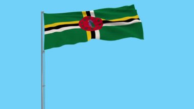 Dominika topluluğu bayrağı mavi arka plan, 3d render rüzgarla içinde çırpınan bir bayrak direği üzerinde izole