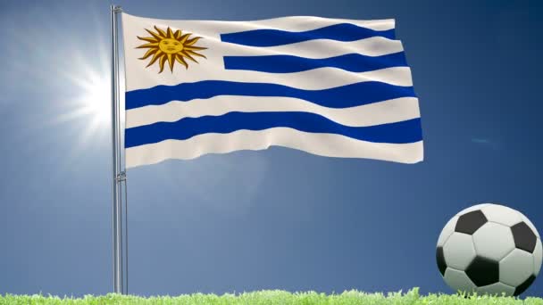 Drapeau Uruguay Flottant Ballon Football Roule Sur Pelouse Rendu Séquences — Video