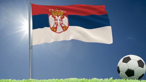 Flag Serbia Fluttering Football Rolls Lawn Rendering Footage — Stock Video