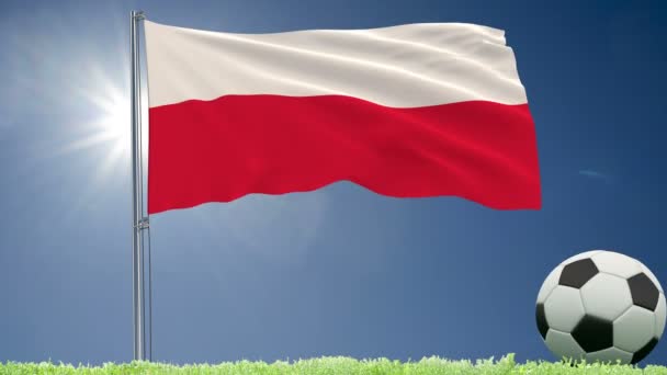 波兰国旗飘扬 草坪上有一只足球卷 — 图库视频影像