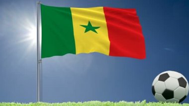 Bayrağı Senegal çırpınan ve bir futbol rulo çim, 3d render, 4 k görüntüleri