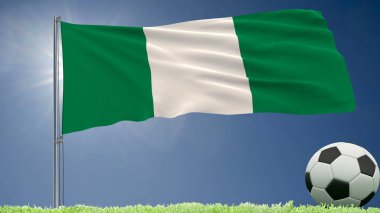 Durian Dragon Nijerya ve bir futbol bayrağı çimenlikte, 3d render rulo.