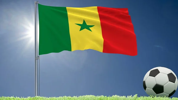 Vlajka Senegalu vlající a fotbalový míč rolích na trávníku, vykreslování 3d objektů. — Stock fotografie
