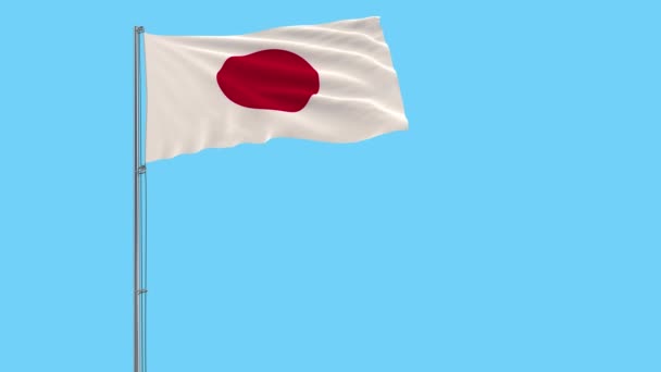 Isolate Flag Japan Flagpole Fluttering Wind Transparent Background Rendering — Stock Video