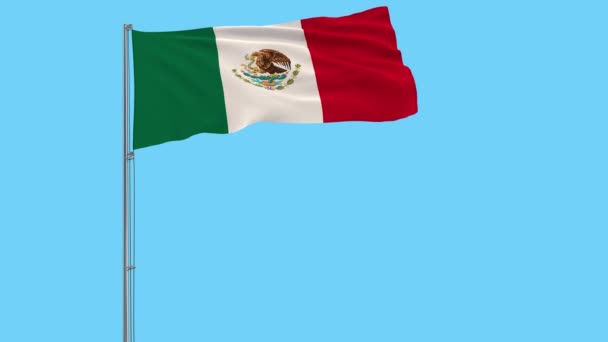 Aislar Bandera México Asta Bandera Ondeando Viento Sobre Fondo Transparente — Vídeo de stock