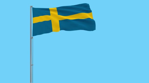 Isolere Flag Sverige Flagstang Flagrende Vinden Gennemsigtig Baggrund Rendering – Stock-video