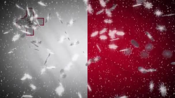 Bendera Malta jatuh salju dapat diulang, Tahun Baru dan Natal latar belakang, loop — Stok Video