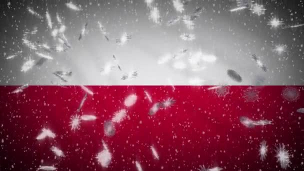 Poland flag falling snow loopable, New Year and Christmas background, loop — ストック動画