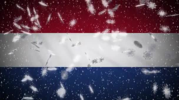 Netherlands flag falling snow loopable, New Year and Christmas background, loop — ストック動画