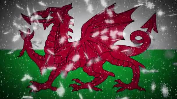 Flaga Walii spada śnieg pętli, Nowy Rok i Boże Narodzenie tło, pętla — Wideo stockowe