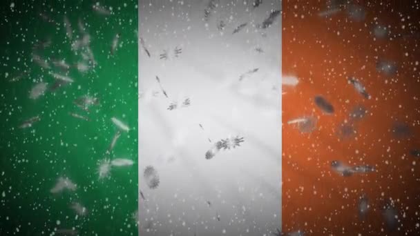 Ireland flag falling snow loopable, neujahr und weihnachten hintergrund, loop — Stockvideo