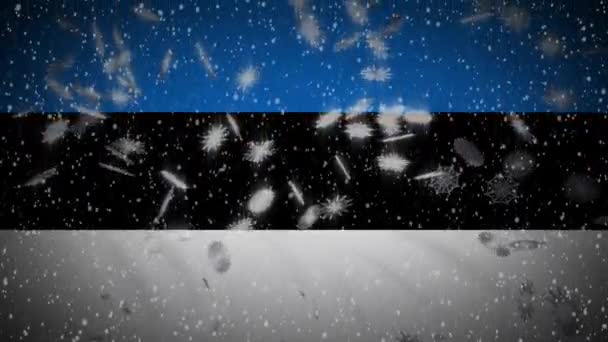Flaga Estonii spada śnieg pętli, Nowy Rok i Boże Narodzenie tło, pętla — Wideo stockowe
