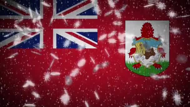 Bermudy prapor padající sníh smyčka, Nový rok a vánoční pozadí, smyčka — Stock video