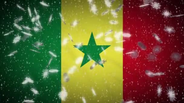 Senegal flag falling snow loopable, New Year and Christmas background, loop — Stock Video