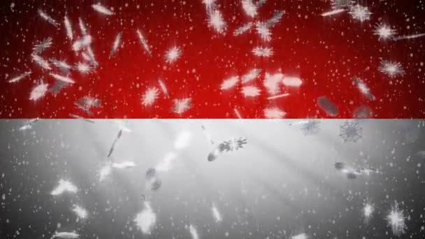 Flaga Indonezji spada śnieg pętli, Nowy Rok i Boże Narodzenie tło, pętla — Wideo stockowe